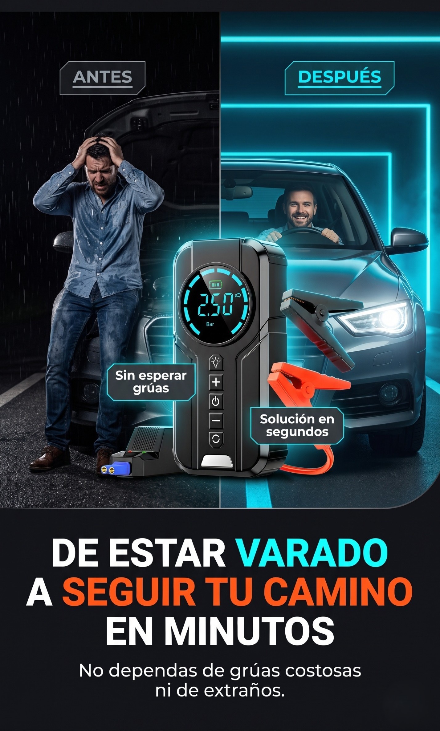 Sección visual