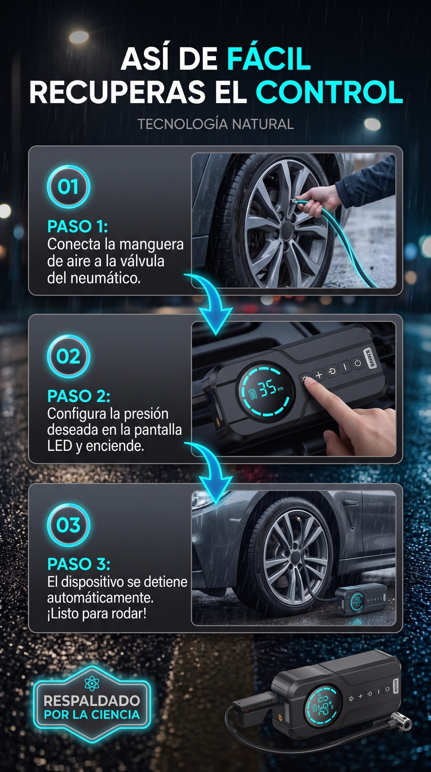 Sección visual